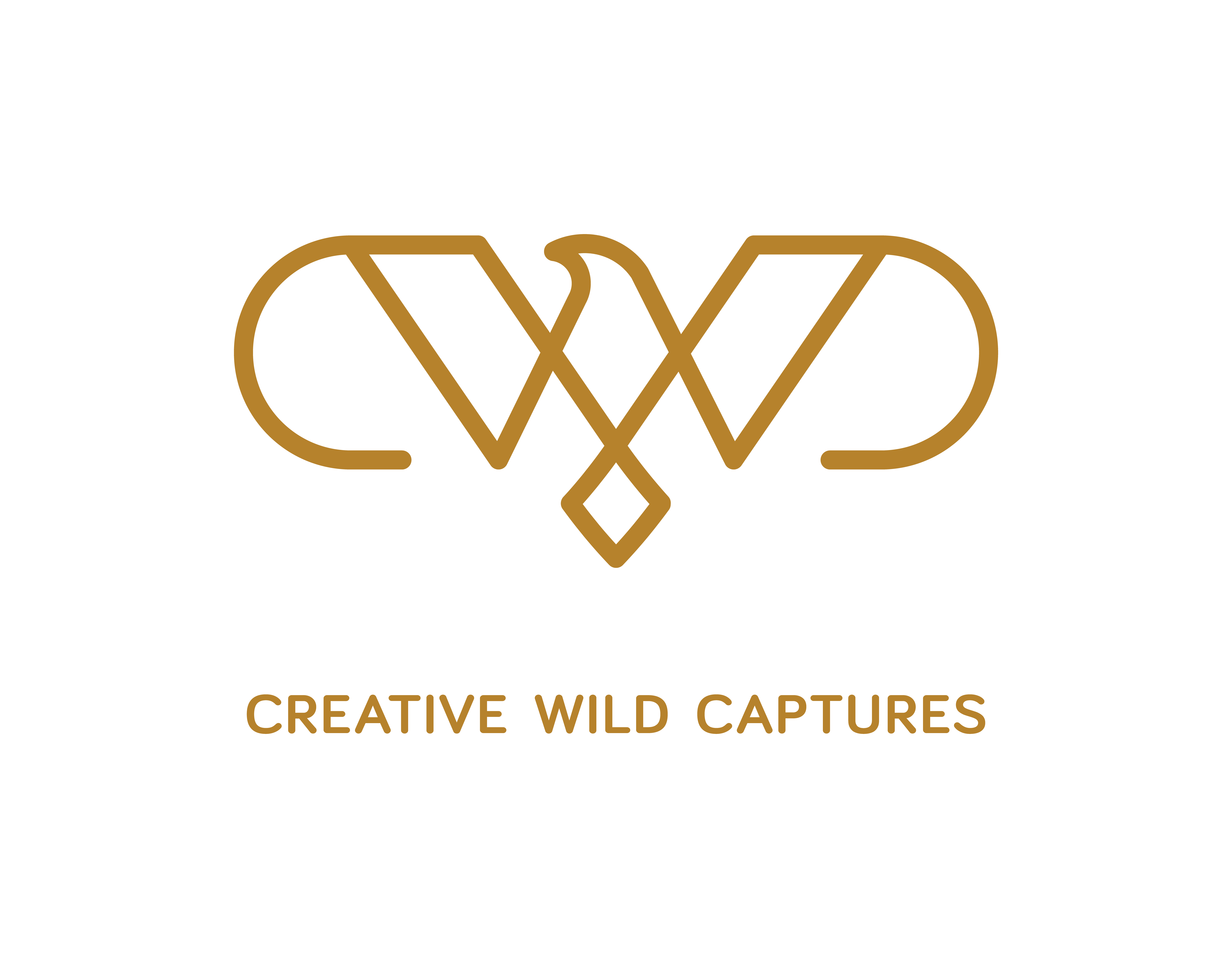 Creative Wild Captures